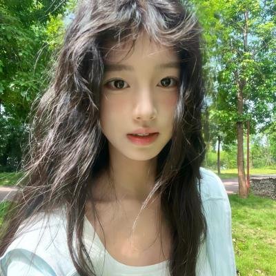 高达自画像海报