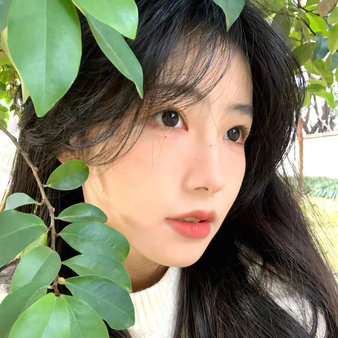 坐稳车泰欣娜海报