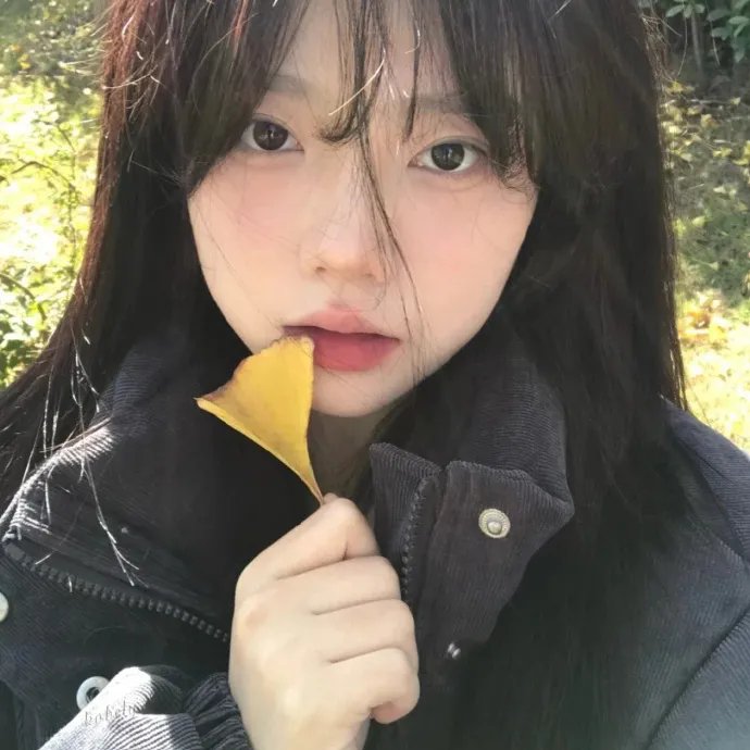 爱之书海报