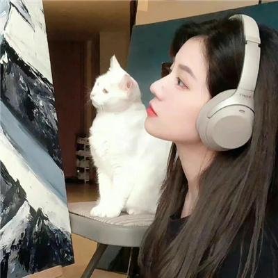 大侠梅花鹿海报